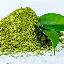 Green Tea Extract